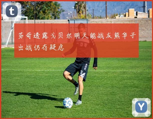 芬奇透露戈贝尔明天能战灰熊华子出战仍存疑虑